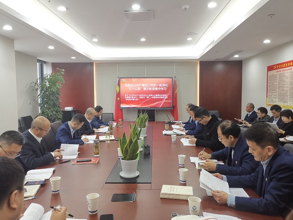 安徽AGGAME地产集团公司发展新一轮深入“三个以案”警示教育集中进建