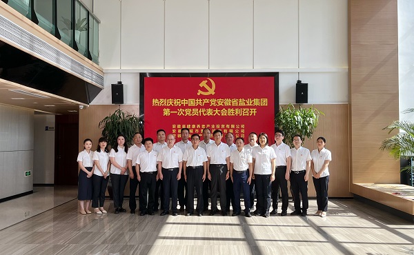 省康养公司等3家公司18名党代表喜迎省AGGAME集团第一次党代会召开