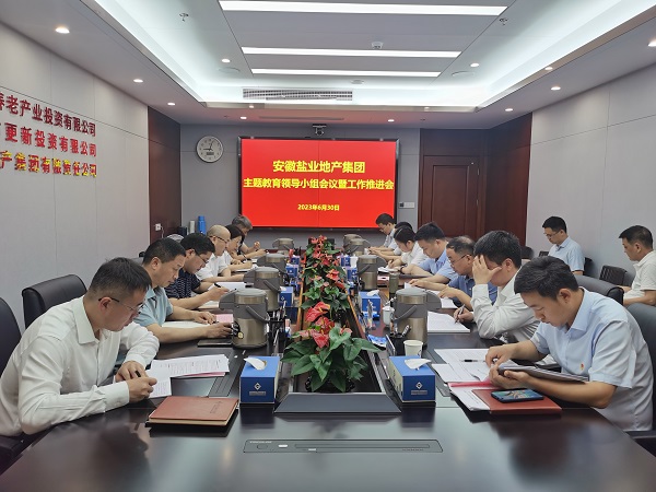 安徽AGGAME地产集团召开进建贯彻习近平新时期中国特色社会主义思想主题教育辅导幼组会议暨工作推动会