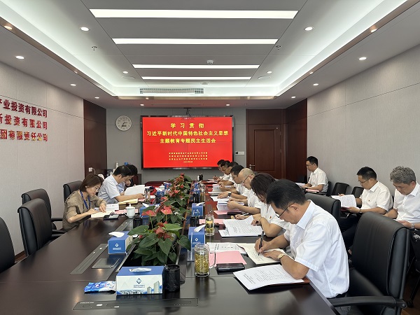 安徽AGGAME地产集团等三家公司党委召开进建贯彻习近平新时期中国特色社会主义思想主题教育专题民主生涯会
