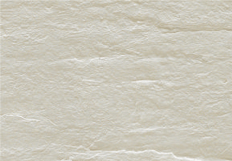 永信贵宾会217·(中国区)官网